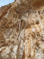 SNV80256.JPG